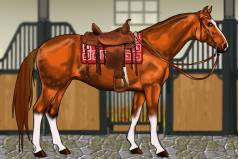 Одежда для Лошади - Horse Dressup